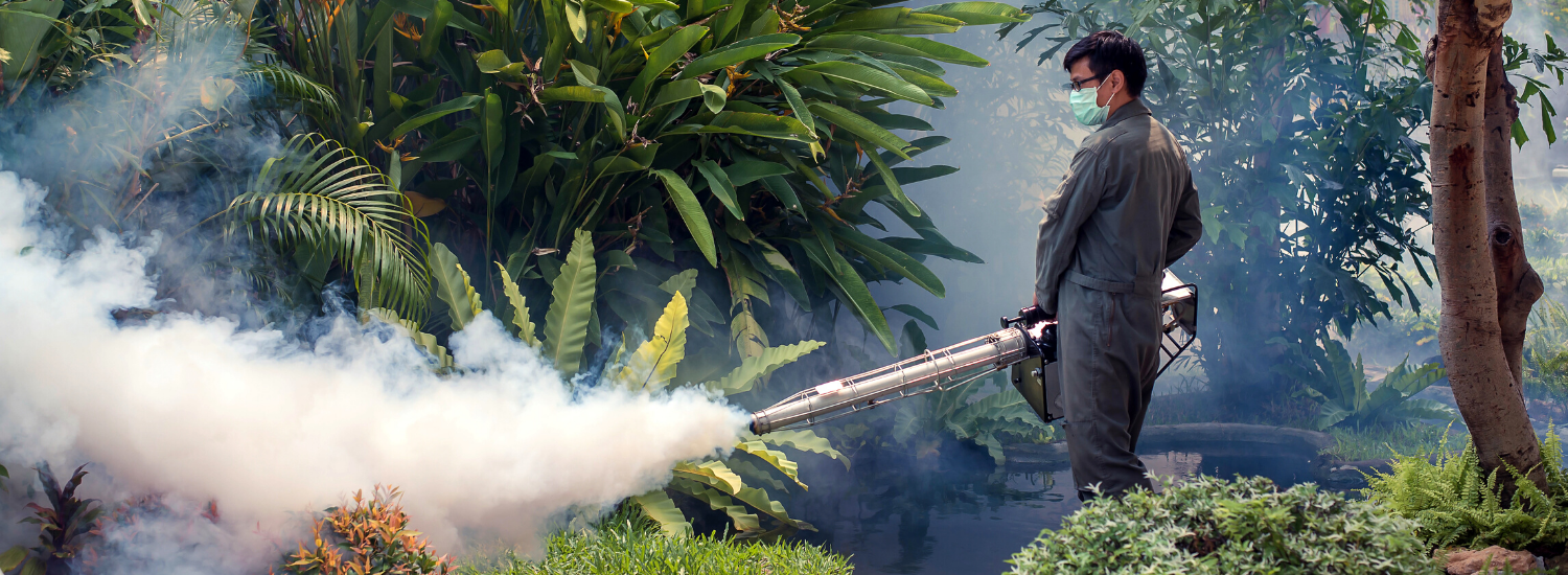 Pest Control Service